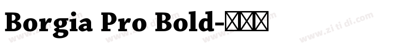 Borgia Pro Bold字体转换